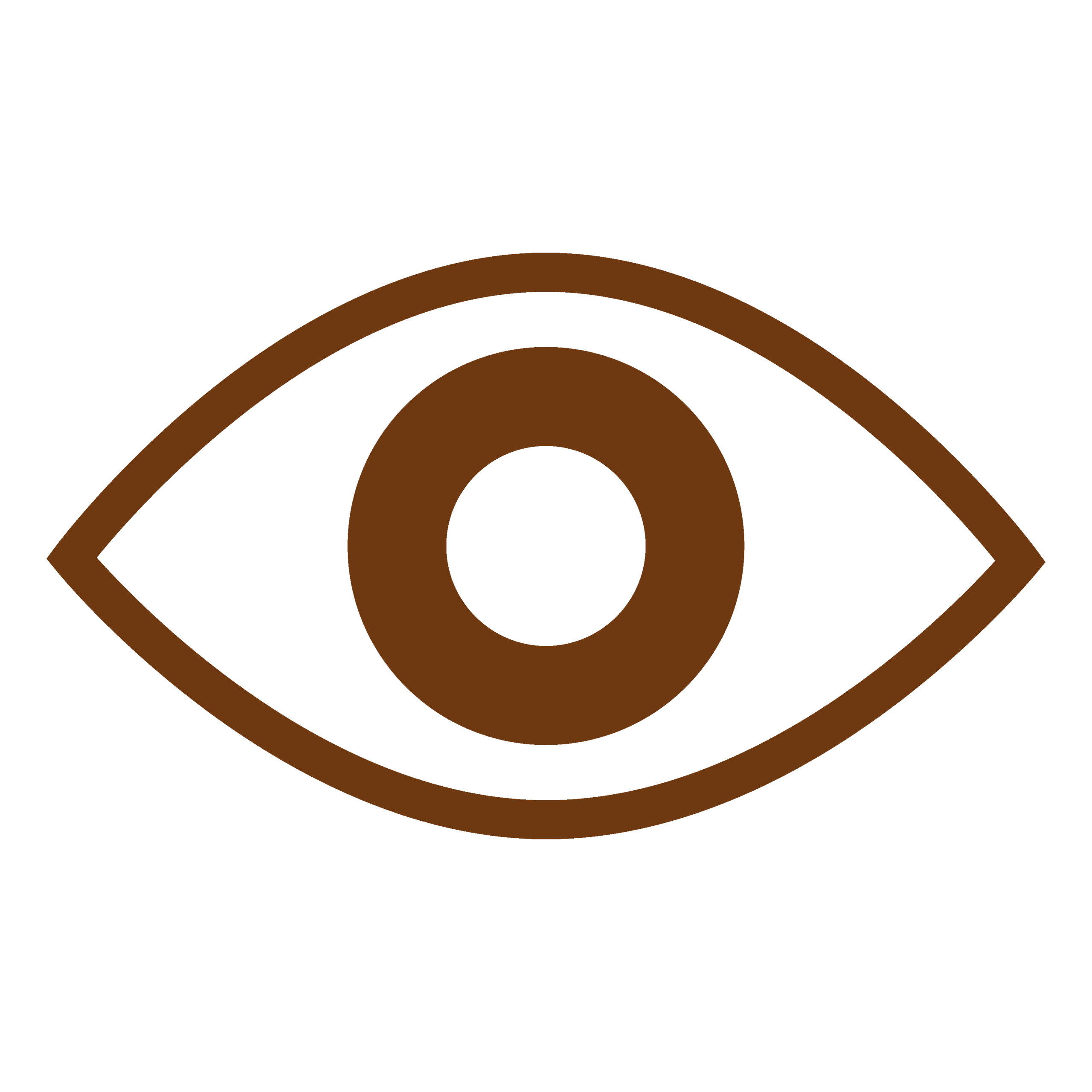 Vision SYREP